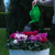 Innaffiatoio 5 litri Di Martino colore verde