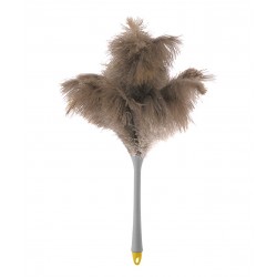 Piumi  struzzo 50 cm.