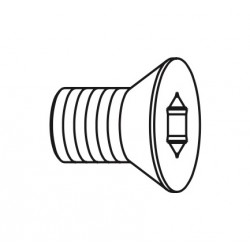 Vite tspti t9 m4x2x3,2 d6 (per teste 694-001)