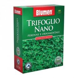 Sementi trifoglio nano 200 gr